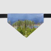 Grand Landkreis Rainbow Pet Bandana Collar