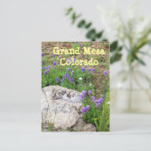 Grand Mesa, Colorado Postkarte (Stehend Vorderseite)