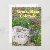 Grand Mesa, Colorado Postkarte (Vorne/Hinten)