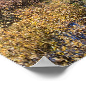 Grand Mesa im Herbst, Western Colorado Poster (Ecke)