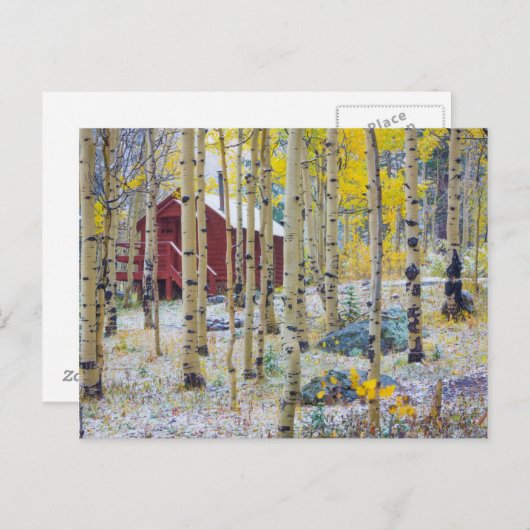 Grand Mesa Solitary Kabine in einem Wald Postkarte