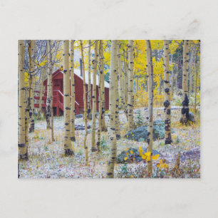 Grand Mesa Solitary Kabine in einem Wald Postkarte