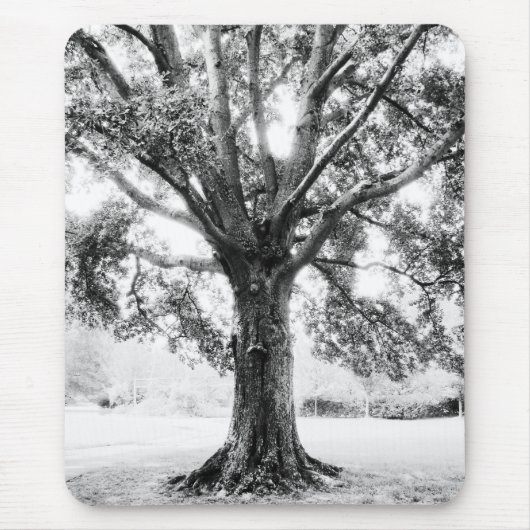 Grand Mousepad (Vorne)