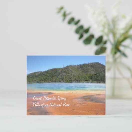 Grand Prisma Spring Postkarte (Stehend Vorderseite)