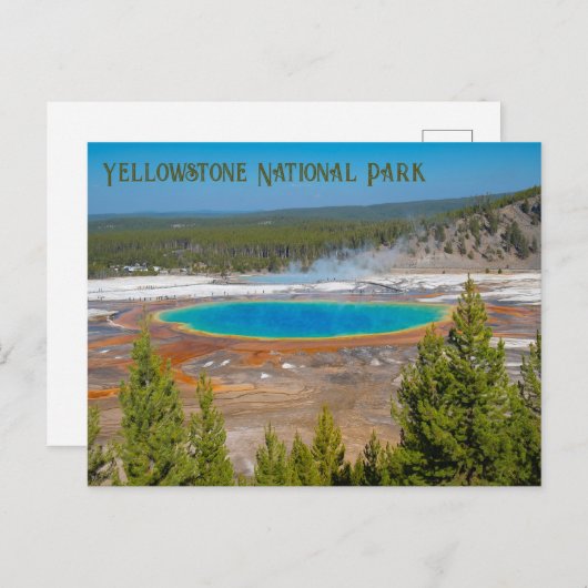 Grand Prisma Spring Yellowstone Nationalpark Postkarte (Vorne/Hinten)