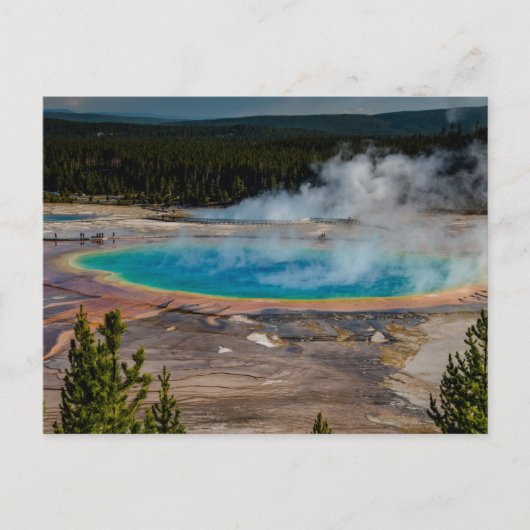 Grand Prisma Spring Yellowstone Nationalpark Postkarte (Vorderseite)