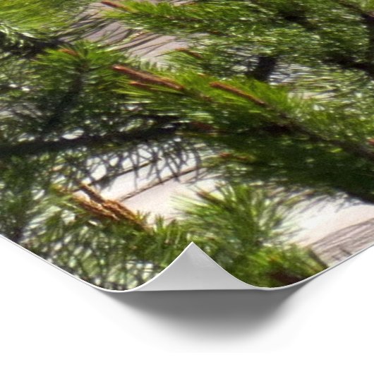 Grand Prismatic Overlook Poster (Ecke)