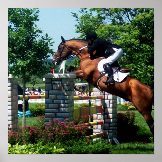 Grand Prix Horse Poster (Vorne)