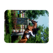 Grand Prix Pferd Premium Magnet (Horizontal)