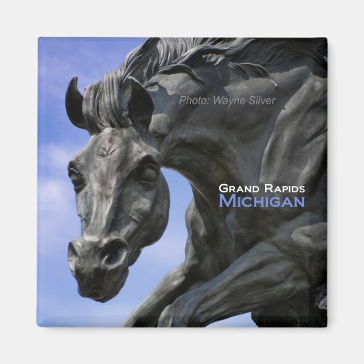 Grand Rapids Michigan Magnet ReiseSouvenir (Vorne)