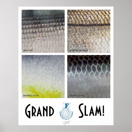 Grand Slam Saltwater Poster (Vorne)