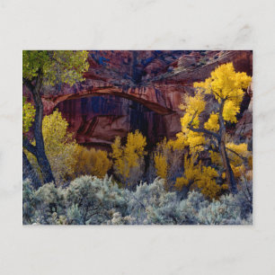 Grand Staircase-Escalante National Monument 2 Postkarte