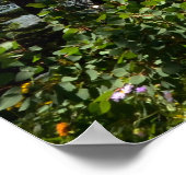 Grand Teton 0594 8-11 Poster (Ecke)