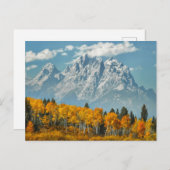 Grand Teton Berge im Herbst Postkarte (Vorne/Hinten)