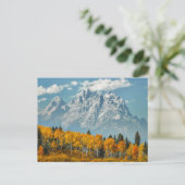 Grand Teton Berge im Herbst Postkarte (Stehend Vorderseite)