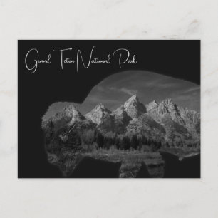Grand Teton Bison Double Exposure Postkarte