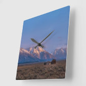 Grand Teton Mountain und Prairie Quadratische Wanduhr (Winkel)