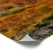 Grand Teton Mountains River View im Herbst Poster (Ecke)