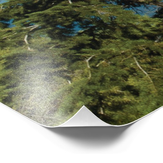 Grand Teton Mountains - Wilde Orte Fotografie (Ecke)