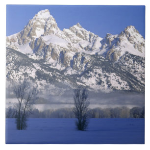 GRAND TETON NATIONAL PARK, WYOMING. USA. Nebel Fliese
