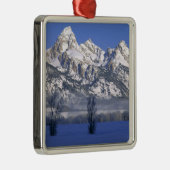 GRAND TETON NATIONAL PARK, WYOMING. USA. Nebel Ornament Aus Metall (Rechts)