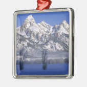 GRAND TETON NATIONAL PARK, WYOMING. USA. Nebel Ornament Aus Metall (Links)