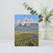 Grand Teton Nationalpark 3 Postkarte (Stehend Vorderseite)