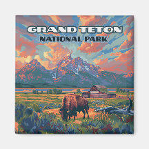 Grand Teton Nationalpark Berge Bison Wyoming