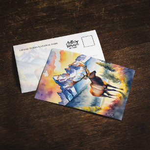 Grand Teton Nationalpark Elk Wyoming Postcard Einladung