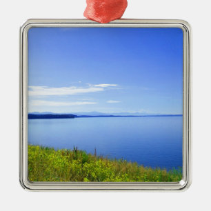 Grand Teton Nationalpark. Landschaftsfotografie Silbernes Ornament