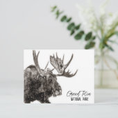 Grand Teton Nationalpark Moose Postkarte (Stehend Vorderseite)