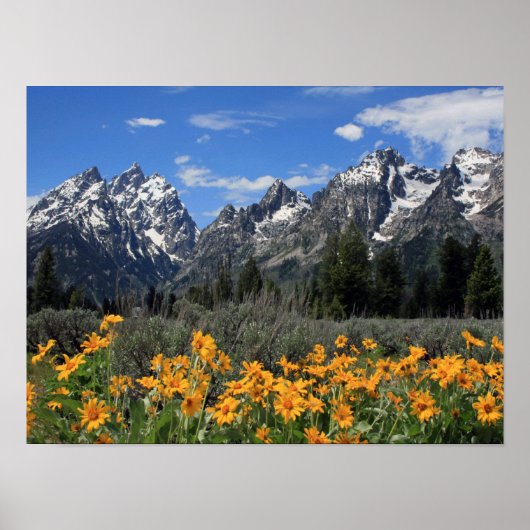 Grand Teton Nationalpark Poster (Vorne)