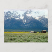 Grand Teton Nationalpark Postkarte (Vorderseite)