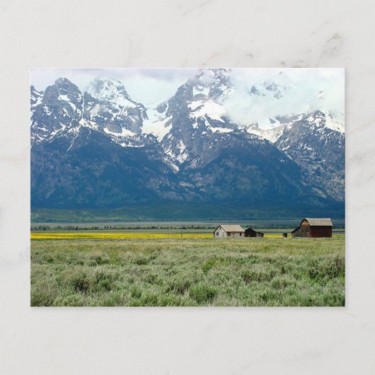 Grand Teton Nationalpark Postkarte (Vorderseite)