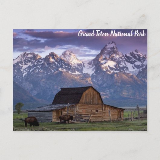 Grand Teton Nationalpark Wyoming Mountains Barn Postkarte (Vorderseite)