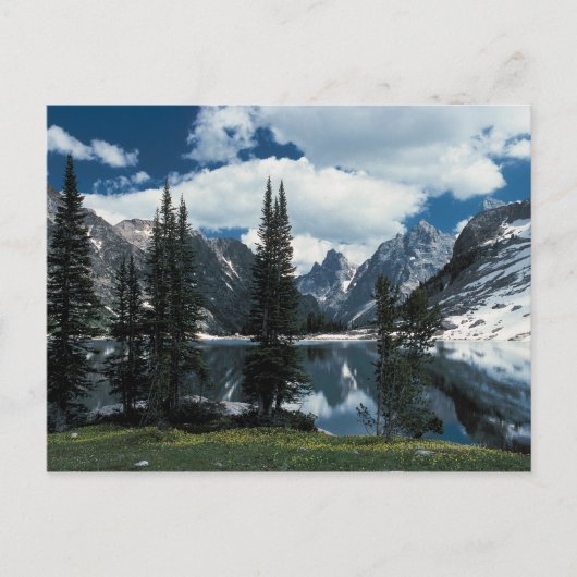 Grand Teton Nationalpark , Wyoming Postkarte (Vorderseite)