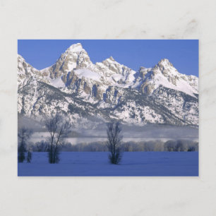 GRAND-TETON-NATIONALPARK, WYOMING. USA. Nebel & Postkarte