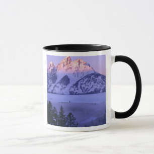 GRAND TETON NATIONALPARK, WYOMING. USA. Nebel & Tasse
