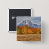Grand Teton NP, Mount Moran und Aspen-Bäume Button (Vorne & Hinten)