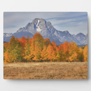 Grand Teton NP, Mount Moran und Aspen-Bäume Fotoplatte