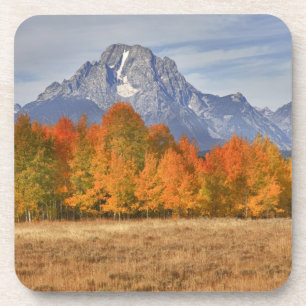 Grand Teton NP, Mount Moran und Aspen-Bäume Untersetzer