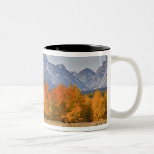 Grand Teton NP, Mount Moran und Espen Zweifarbige Tasse