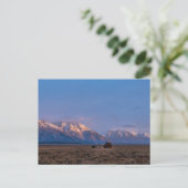 Grand Teton Open Lands Postkarte (Stehend Vorderseite)