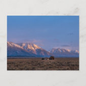 Grand Teton Open Lands Postkarte (Vorderseite)