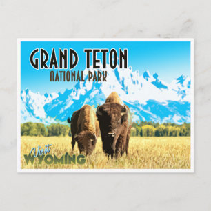 Grand Teton Park Wyoming Vintage Postkarte
