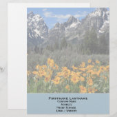 Grand Teton Springtime Souvenir Foto Briefkopf (Vorne/Hinten)