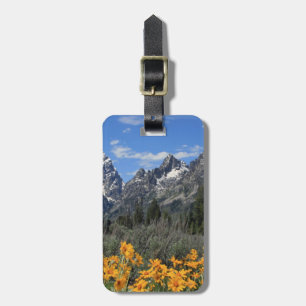 Grand Teton Springtime Souvenir Foto Gepäckanhänger