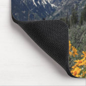 Grand Teton Springtime Souvenir Foto Mousepad (Ecke)