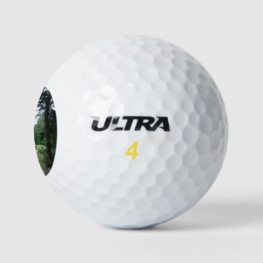 Grand Teton Trail Golfball (Logo)