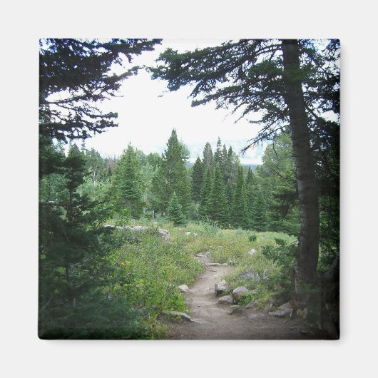 Grand Teton Trail Magnet (Vorne)